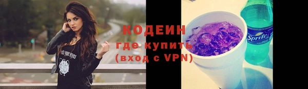 ECSTASY Бикин