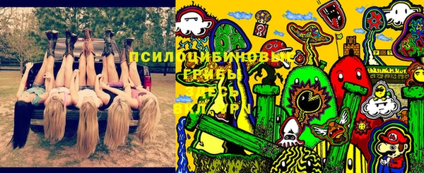 первитин Михайлов