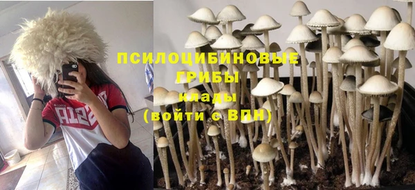 mix Михайловск