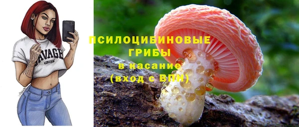 первитин Михайлов