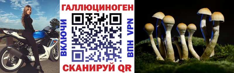 Купить где Крымск Галлюциногенные грибы прущие грибы