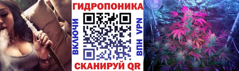 Купить закладки  Крымск  Каннабис план 
